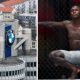 BMW Drops Nigerian UFC Star Israel Adesanya As Ambassador Over Rape Comments - autojosh