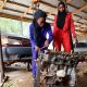Pictorial Happening At The Recently Inaugurated First Female Auto Mechanic In Sokoto - autojosh