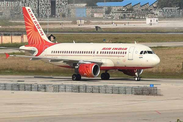 Flying Bat Aboard US-bound Air India Flight Forces It To Turn Around Mid-flight - autojosh 
