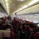 Flying Bat Aboard US-bound Air India Flight Forces It To Turn Around Mid-flight - autojosh