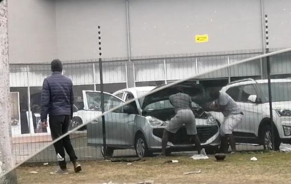 Amid South Africa's Protest, Looters Strips Parts From Brand New Cars At Toyota Dealership - autojosh 