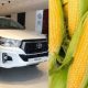Toyota Barter : Toyota Accepting Corn As Payment For Hilux, Fortuner And Corolla Cross In Brazil - autojosh