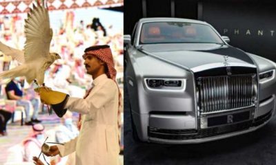 $472,500 : World's Most Expensive Bird Just Sold For The Price Of A Rolls-Royce Phantom 8 - autojosh