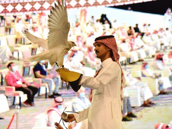 $472,500 : World's Most Expensive Bird Just Sold For The Price Of A Rolls-Royce Phantom 8 - autojosh 