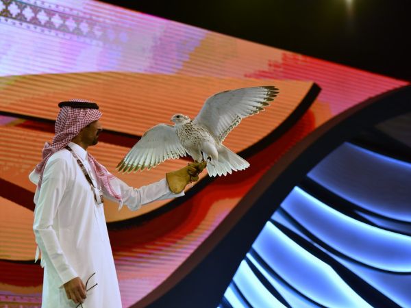 $472,500 : World's Most Expensive Bird Just Sold For The Price Of A Rolls-Royce Phantom 8 - autojosh 