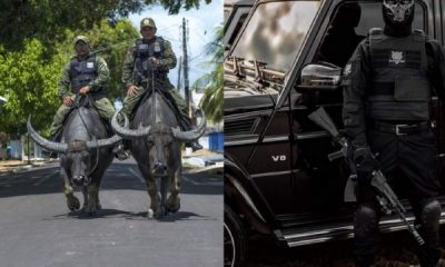 Real Life 'Buffalo Soldiers' : Military Police In Brazil's Marajo Don't Use Cars But Buffalos To Patrol - autojosh