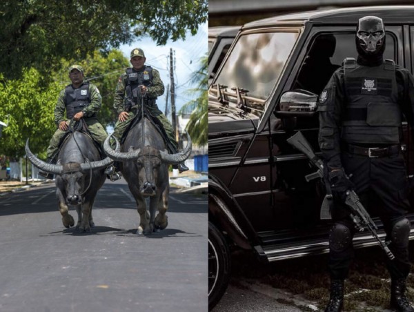 Real Life 'Buffalo Soldiers' : Military Police In Brazil's Marajo Don't Use Cars But Buffalos To Patrol - autojosh