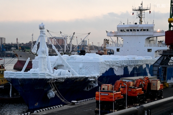 Cargo Ship 'Sun Rio' Arrives At Russian Port With Thousands Of Frozen Japanese Cars - autojosh 
