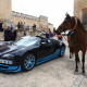 Photo Of The Day : One Horsepower 'Horse' Checks Out 1,200 Horsepower 'Bugatti Veyron' - autojosh