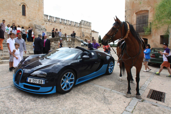 Photo Of The Day : One Horsepower 'Horse' Checks Out 1,200 Horsepower 'Bugatti Veyron' - autojosh