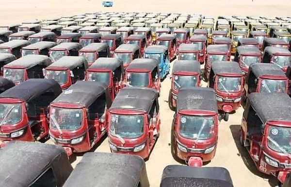 Borno Governor Zulum Distributes 610 Vehicles, Including Taxis, Tricycles And Buses To Youths - autojosh 
