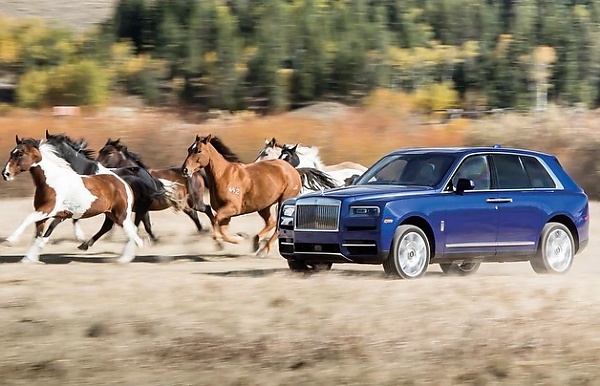 Owner Takes ₦350m Rolls-Royce Cullinan Off-road With Several Horses - autojosh 