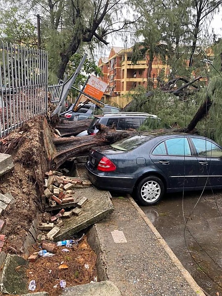 Photos : No Casualties As Uprooted Trees Damage Parked Luxury Cars In Lagos - autojosh 