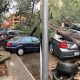 Photos : No Casualties As Uprooted Trees Damage Parked Luxury Cars In Lagos - autojosh