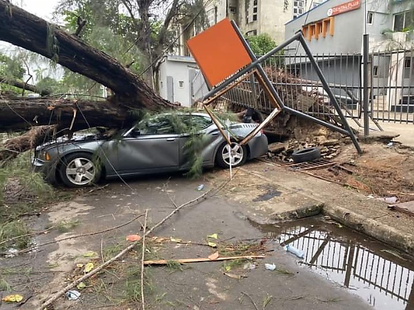 Photos : No Casualties As Uprooted Trees Damage Parked Luxury Cars In Lagos - autojosh 