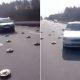 Watch As Cars Carefully Drive Around Russian Anti-tank Landmines In Ukraine - autojosh