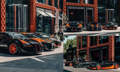 Three Of Bugatti’s Record-breaking Hypercars Arrives At This Year’s Festival Of Speed - autojosh