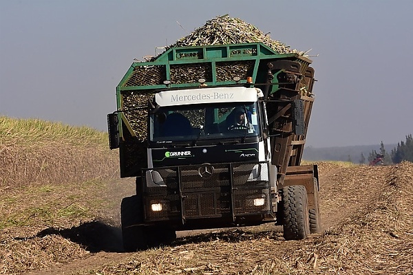 Hundreds Of Self-driving Mercedes Axor Trucks Are Helping To Harvest Sugar Cane In Brazil - autojosh 