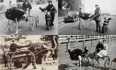 Today's Photos : Ostrich-drawn Carriage Stopped By Motorcycle Police For Over-speeding In 1930 - autojosh