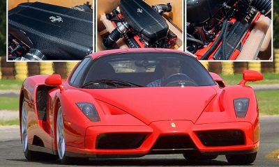 Ferrari Supercar V12-engine Goes Up For Sale, Costs More Than A Brand New $230,000 Lamborghini Urus - autojosh
