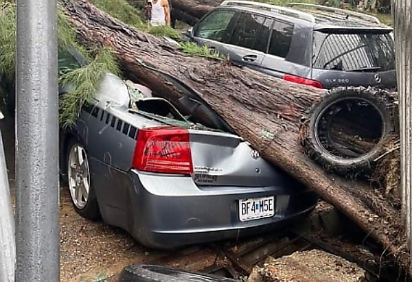 “Cars Parked At Owners Risk” - Who Is Responsible For Stolen/Damaged Cars - autojosh 