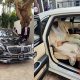 Cars Inside Emir Of Bichi, Nasiru Ado Bayero's Garage, From Mercedes-Maybach To Rolls-Royce - autojosh