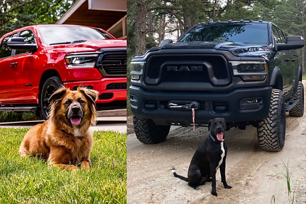 Photos : Here Is How Some Automakers Celebrated “International Dog Day” On August 26 - autojosh 