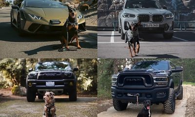 Photos : Here Is How Some Automakers Celebrated “International Dog Day” On August 26 - autojosh