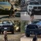 Photos : Here Is How Some Automakers Celebrated “International Dog Day” On August 26 - autojosh