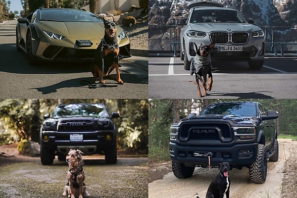 Photos : Here Is How Some Automakers Celebrated “International Dog Day” On August 26 - autojosh