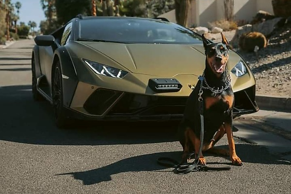 Photos : Here Is How Some Automakers Celebrated “International Dog Day” On August 26 - autojosh 