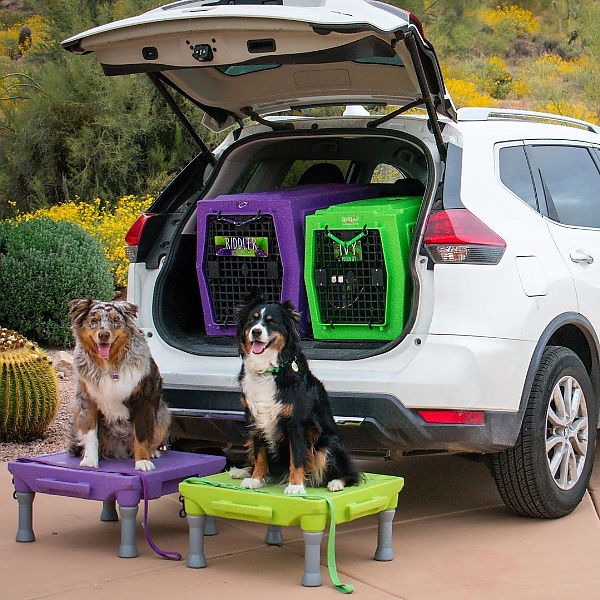 Photos : Here Is How Some Automakers Celebrated “International Dog Day” On August 26 - autojosh 