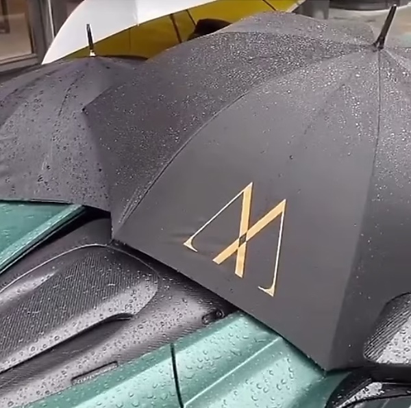 Rain Forces Owner To Use Three Umbrellas To Cover The Interior Of Roofless $1Million Aston Martin - autojosh 