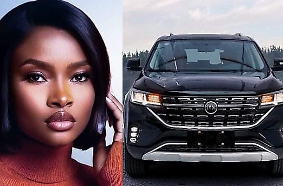 Ilebaye Wins BBNaija All-Stars, Goes Home With ₦120M Cash Prize, Innoson IVM G5T SUV - autojosh