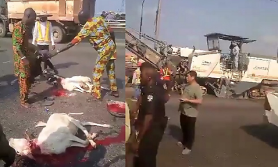 3 Rams Sacrificed On 3rd Mainland Bridge Ahead Of Start Of Repair Works, Patrick Obahiagbon Reacts - autojosh