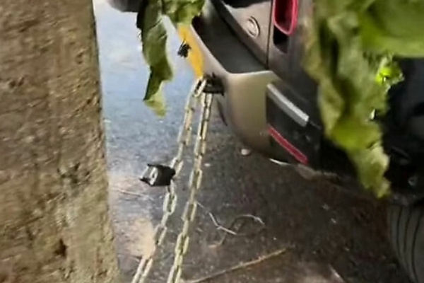 Land Rover Owner Chained Defender SUV To A Tree In London To Prevent Thieves From Stealing It - autojosh 