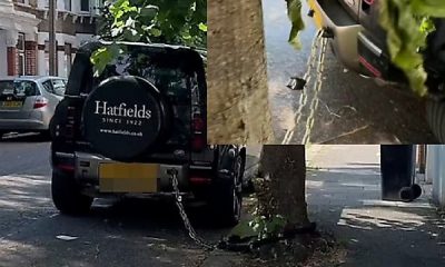Land Rover Owner Chained Defender SUV To A Tree In London To Prevent Thieves From Stealing It - autojosh