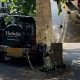 Land Rover Owner Chained Defender SUV To A Tree In London To Prevent Thieves From Stealing It - autojosh