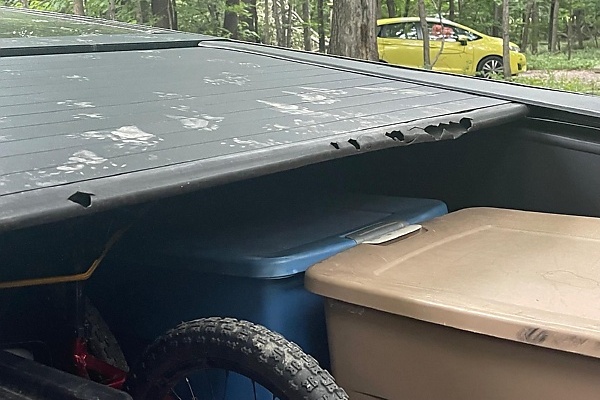 Raccoons Mistook Tesla Cybertruck For Garbage Cans, Rips The Bed Cover With Their Sharp Teeth - autojosh 