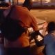 Lagos Taskforce Storm Cubana Night Club At 1 AM, Seizes Number Plates Of 28 Illegally Parked Vehicles - autojosh