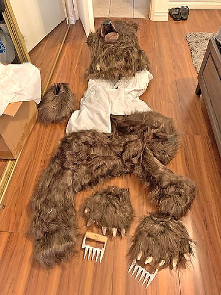 Four Arrested After Wearing “Bear Costume” To Tear Up A Rolls-Royce For Insurance Payouts - autojosh 