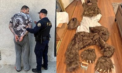 Four Arrested After Wearing “Bear Costume” To Tear Up A Rolls-Royce For Insurance Payouts - autojosh