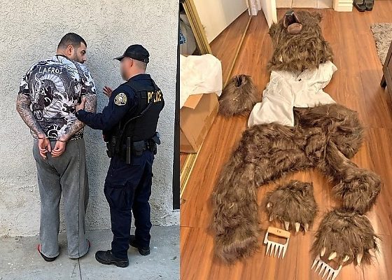 Four Arrested After Wearing “Bear Costume” To Tear Up A Rolls-Royce For Insurance Payouts - autojosh