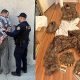 Four Arrested After Wearing “Bear Costume” To Tear Up A Rolls-Royce For Insurance Payouts - autojosh