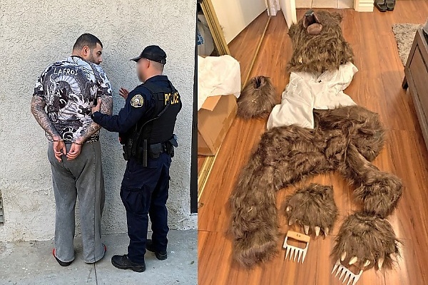Four Arrested After Wearing “Bear Costume” To Tear Up A Rolls-Royce For Insurance Payouts - autojosh