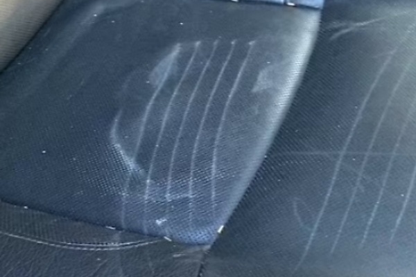Four Arrested After Wearing “Bear Costume” To Tear Up A Rolls-Royce For Insurance Payouts - autojosh 