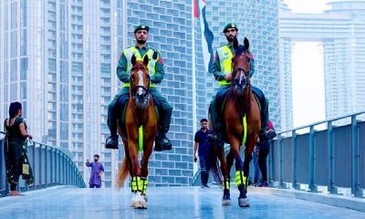 Last Year, Dubai Police ‘Horse Unit’ Issued 463 Traffic Fines During 1,464 Patrol Rounds - autojosh