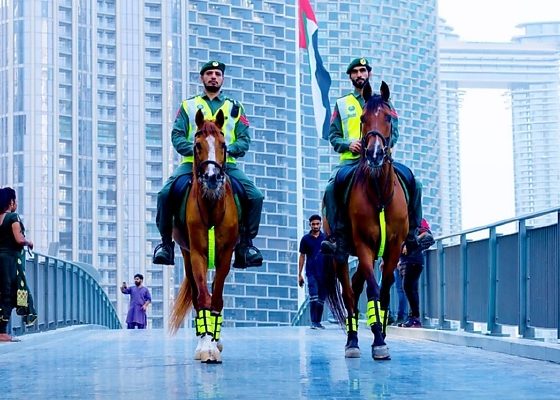 Last Year, Dubai Police ‘Horse Unit’ Issued 463 Traffic Fines During 1,464 Patrol Rounds - autojosh