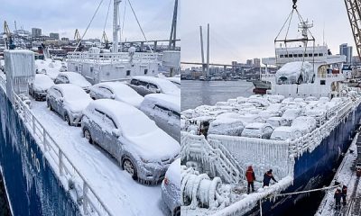 Cargo Ship Arrives At Russian Port With Thousands Of Frozen Japanese Cars (PHOTOS) - autojosh