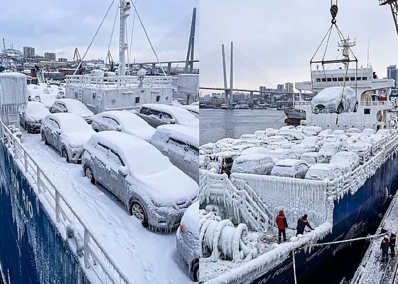 Cargo Ship Arrives At Russian Port With Thousands Of Frozen Japanese Cars (PHOTOS) - autojosh
